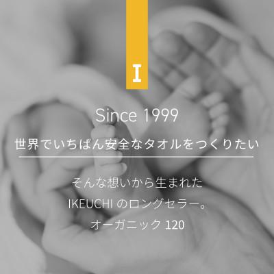 ふるさと納税 今治市 (今治タオル)オーガニック120フェイスタオル2枚 グレイ　[I000750GY]｜y-sf｜02