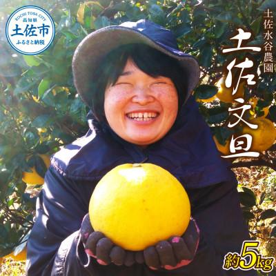 ふるさと納税 土佐市 化学合成農薬栽培期間中不使用 土佐水谷農園の土佐文旦 5kg(8個前後) A品※農園独自基準