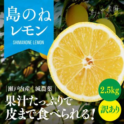 ふるさと納税 今治市 [訳あり]島のねレモン 2.5kg [K001600]
