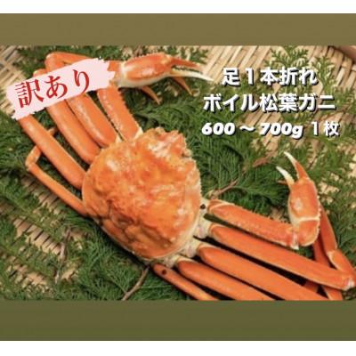 ふるさと納税 大山町 [11月中旬以降]訳あり足1本折れボイル松葉ガニ(600〜700gを1枚)
