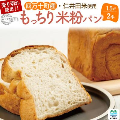 ふるさと納税 四万十町 道の駅で売り切れ大人気!モッチリ食感の米粉パン「もち肌美食ぱん」1.5斤×2本