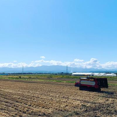 ふるさと納税 南陽市 山形県南陽産特別栽培米　雪若丸5kg×2袋 はえぬき5kg×2袋　計20kg(精米)【S1974】｜y-sf｜02