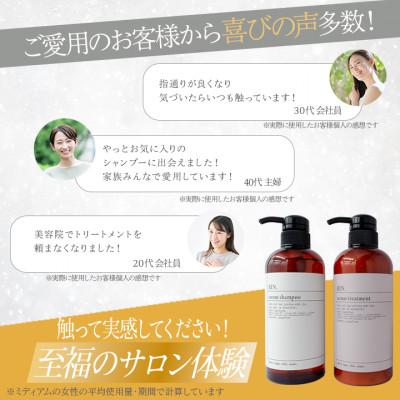ふるさと納税 高槻市 RIN. 美容液アミノ酸シャンプー&トリートメント