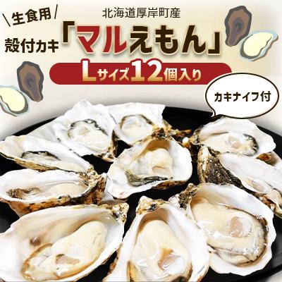 ふるさと納税 厚岸町 北海道厚岸町産 牡蠣 生食用 殻付カキ 「マルえもん」Lサイズ12個入り