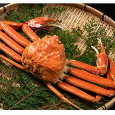 ふるさと納税 大山町 [11月中旬以降順次発送]ブランドタグ付ボイル松葉ガニ(LL 約1kg)