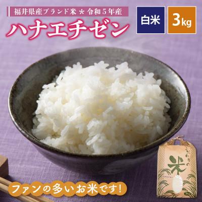 ふるさと納税 越前町 令和5年産 ハナエチゼン(精米) 3kg