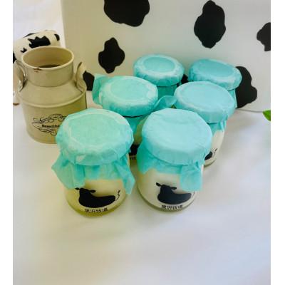 ふるさと納税 海南市 [黒沢牧場]放牧育ちの牛たちの生乳をふんだんに使用したミルクプリン6個セット