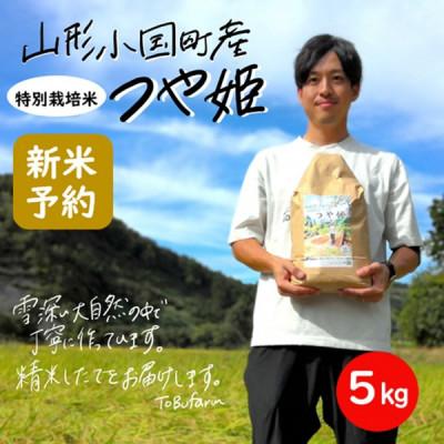 ふるさと納税 小国町 令和8年産米先行予約 山形県小国町産つや姫 精米5kg 東部開発