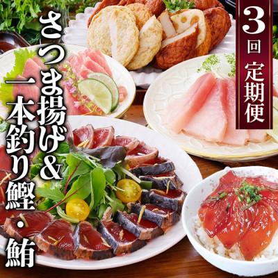 ふるさと納税 枕崎市 定期便(半年で3回)さつま揚げ&amp;鮮度抜群な一本釣りかつお・まぐろ