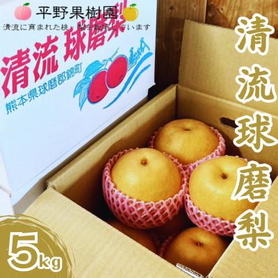 ふるさと納税 錦町 [先行予約!2026年8月初旬〜発送] 錦の梨 清流錦 梨 約5kg [平野果樹園]