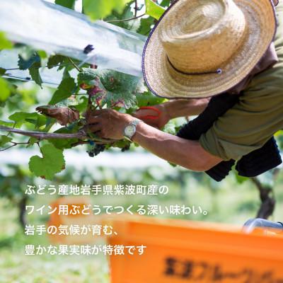 ふるさと納税 紫波町 紫波マスカットベーリーA[甘口]_1