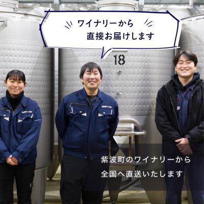 ふるさと納税 紫波町 紫波マスカットベーリーA[甘口]_3