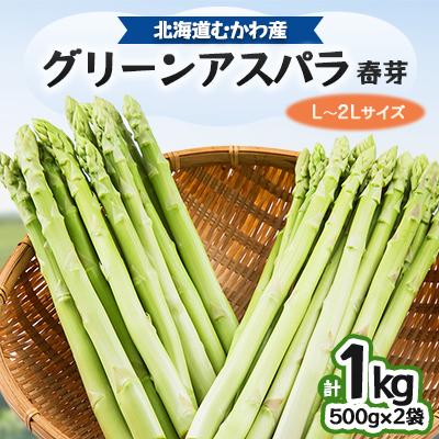 ふるさと納税 むかわ町 北海道むかわ産 グリーンアスパラ(春芽) 1kg