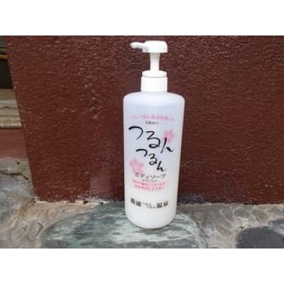 ふるさと納税 勝浦市 つるんつるんボディーソープ 950ml×1本 : さと
