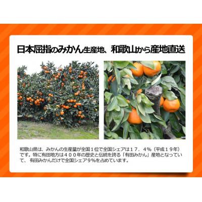 ふるさと納税 和歌山市 訳ありみかん 約10kg(箱込み)　和歌山県産 |  | 01