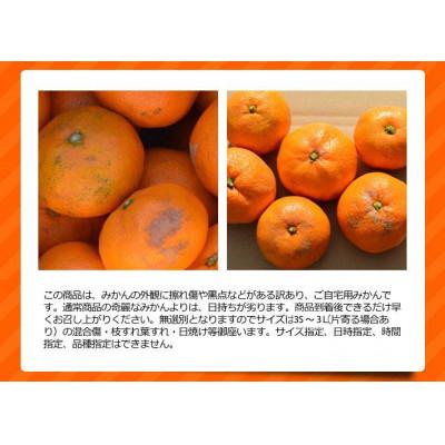 ふるさと納税 和歌山市 訳ありみかん 約10kg(箱込み)　和歌山県産 |  | 02