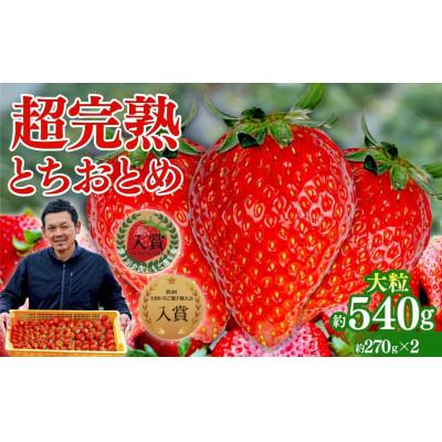 ふるさと納税 茂木町 [美土里農園]完熟とちおとめ 大粒 約270g × 2パック 約540g