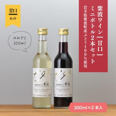 ふるさと納税 紫波町 紫波ワインミニボトル2本(300ml×各1本)セット[甘口]