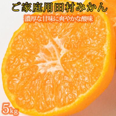 ふるさと納税 紀美野町 [ご家庭用訳あり]田村みかん 5kg