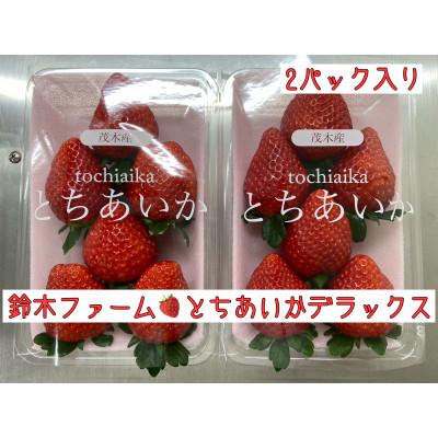 ふるさと納税 茂木町 [完熟とちあいかデラックスサイズ]鈴木ファームのとちあいかデラックス☆2パック入り