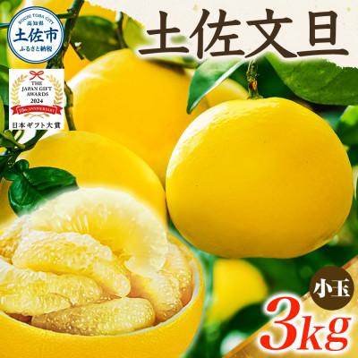ふるさと納税 土佐市 [先行予約2026年1月下旬〜発送予定・日本ギフト大賞2024受賞]園主こだわり土佐文旦3kg小玉