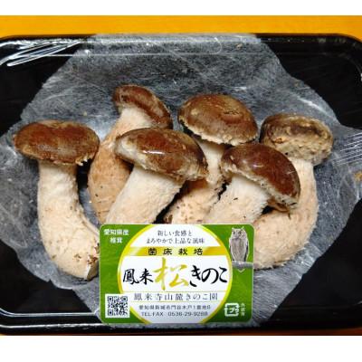 ふるさと納税 新城市 上品で深みのある味わいの「松きのこセット」