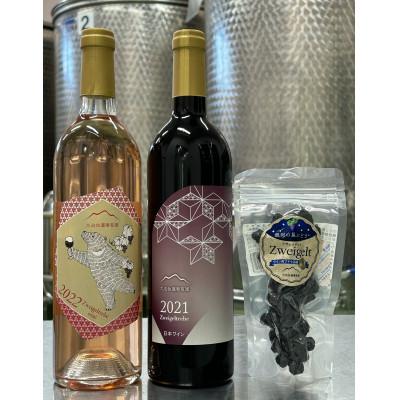 ふるさと納税 花巻市 大迫佐藤葡萄園のツヴァイゲルトお楽しみセット(ワイン2種・干しぶどう)