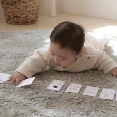 ふるさと納税 千早赤阪村 ひのきのおもちゃIKONIH(アイコニー)の知育玩具　メモリアルボックス_1