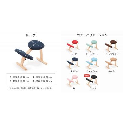 バランスチェア バランス イージー 【※ショートフレーム】