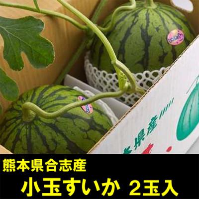 ふるさと納税 合志市 熊本県合志産小玉すいか2玉入(3〜4L)