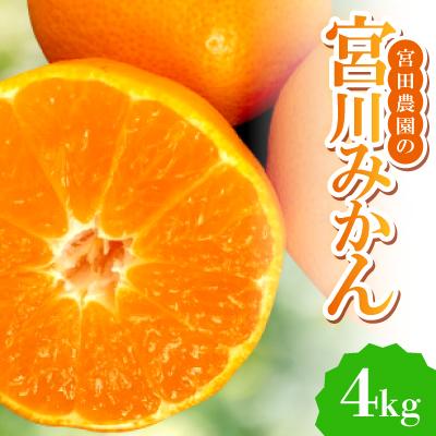 ふるさと納税 東海市 [みかんの王道]宮田農園の宮川みかん 4Kg