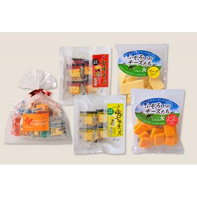ふるさと納税 小諸市 5種のチーズ詰合せ