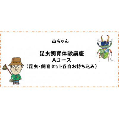 ふるさと納税 南山城村 [幼児〜小学生対象]昆虫飼育体験講座Aコース(昆虫・飼育セット各自お持ち込み)