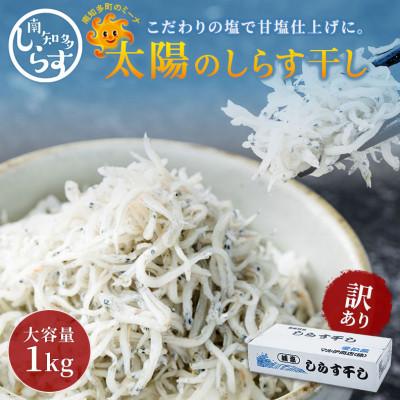 ふるさと納税 南知多町 「太陽のしらす干し」 訳あり しらす干し 1kg 愛知県産 箱入 冷凍