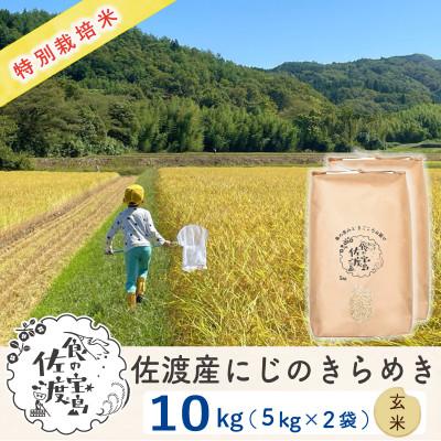 ふるさと納税 佐渡市 [令和5年産]佐渡島産にじのきらめき 玄米10Kg(5Kg×2袋) 特別栽培米