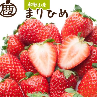 ふるさと納税 太地町 [1月より発送]朝摘み完熟まりひめ約600g(300g前後×2トレイ)[ikd778sato]