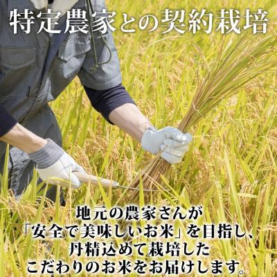 ふるさと納税 倶知安町 北海道 倶知安町産 ゆめぴりか 精米 5kg×2袋 計10kg 特A ショクレン 倶知安町｜y-sf｜03