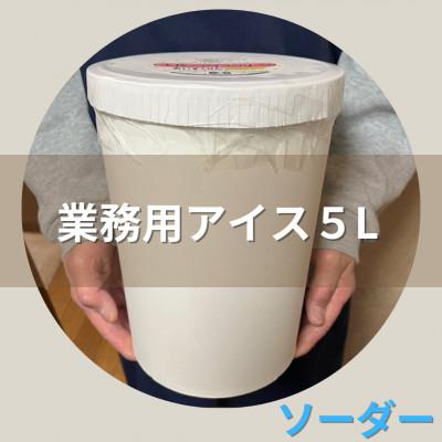 ふるさと納税 高石市 [5Lカップ]あいすくりん ソーダー ホームサイズ・業務用