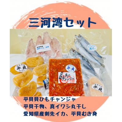 ふるさと納税 南知多町 [三河湾セット]チャンジャ 平貝干物 真イワシ丸干し 剣先イカ 平貝むき身