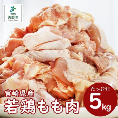 ふるさと納税 美郷町 宮崎県産若鶏もも切身IQF合計5kg(250g×20袋)