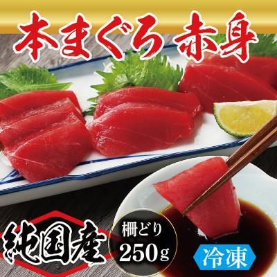 ふるさと納税 越前市 本マグロ 赤身 250g(柵どり)