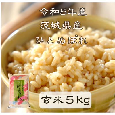 ふるさと納税 行方市 令和5年産 ひとめぼれ 玄米 5kg 茨城県行方市