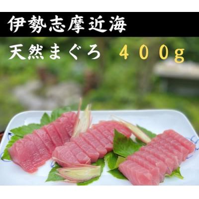 ふるさと納税 南伊勢町 伊勢志摩産 天然キハダマグロ 約400g 刺身用 柵 とれたて新鮮な鮪を城水産が全国へお届け