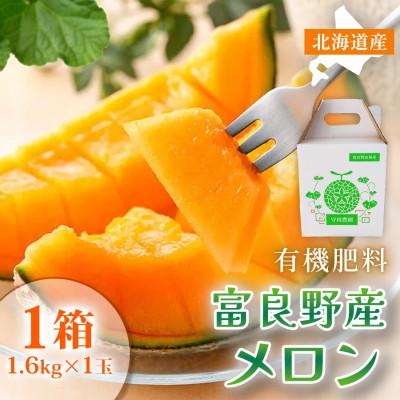 ふるさと納税 富良野市 [糖度15度以上 赤肉メロン]富良野産 メロン 1.6kg×1玉 1箱|北海道富良野市 7〜8月発送