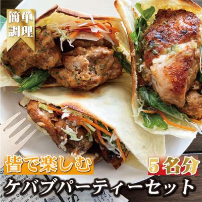 ふるさと納税 白浜町 皆で楽しむ!ケバブサンド手作りパーティーセット チキンステーキ230g×3パック 専用ピタパン×5枚