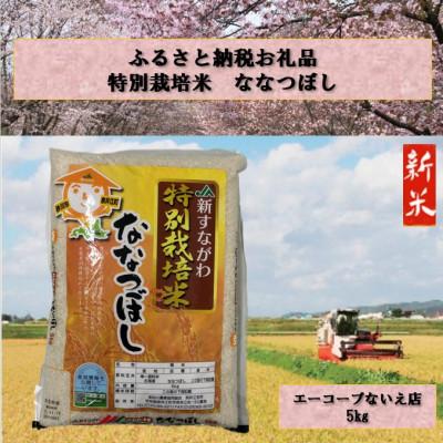 ふるさと納税 奈井江町 特別栽培米「ななつぼし」精米5kg