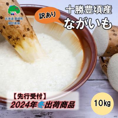 ふるさと納税 豊頃町 [訳あり]十勝豊頃産 ながいも10kg 2024年冬以降出荷(先行受付)