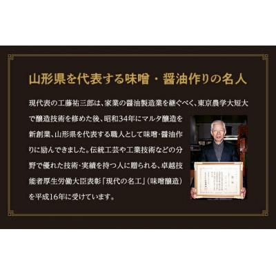 ふるさと納税 寒河江市 【蔵元直送】《本醸造酒醤油当てはめる》 めん露いささかも・だし醤油 詰め合わせ 計2品 [月山めん露いささかも・味の雇い主]
