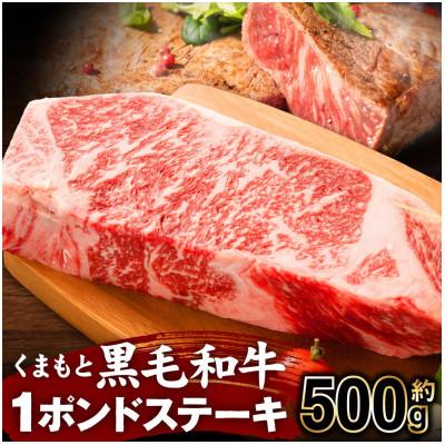 ふるさと納税 八代市 くまもと黒毛和牛 1ポンド ステーキ 約500g 熊本県産