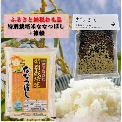 ふるさと納税 奈井江町 特別栽培米「ななつぼし」精米5kg+お母さんの畑で育った「雑穀」100gセット